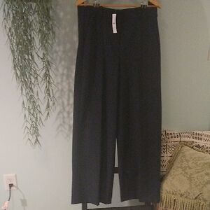 J. Crew Carreman Pants